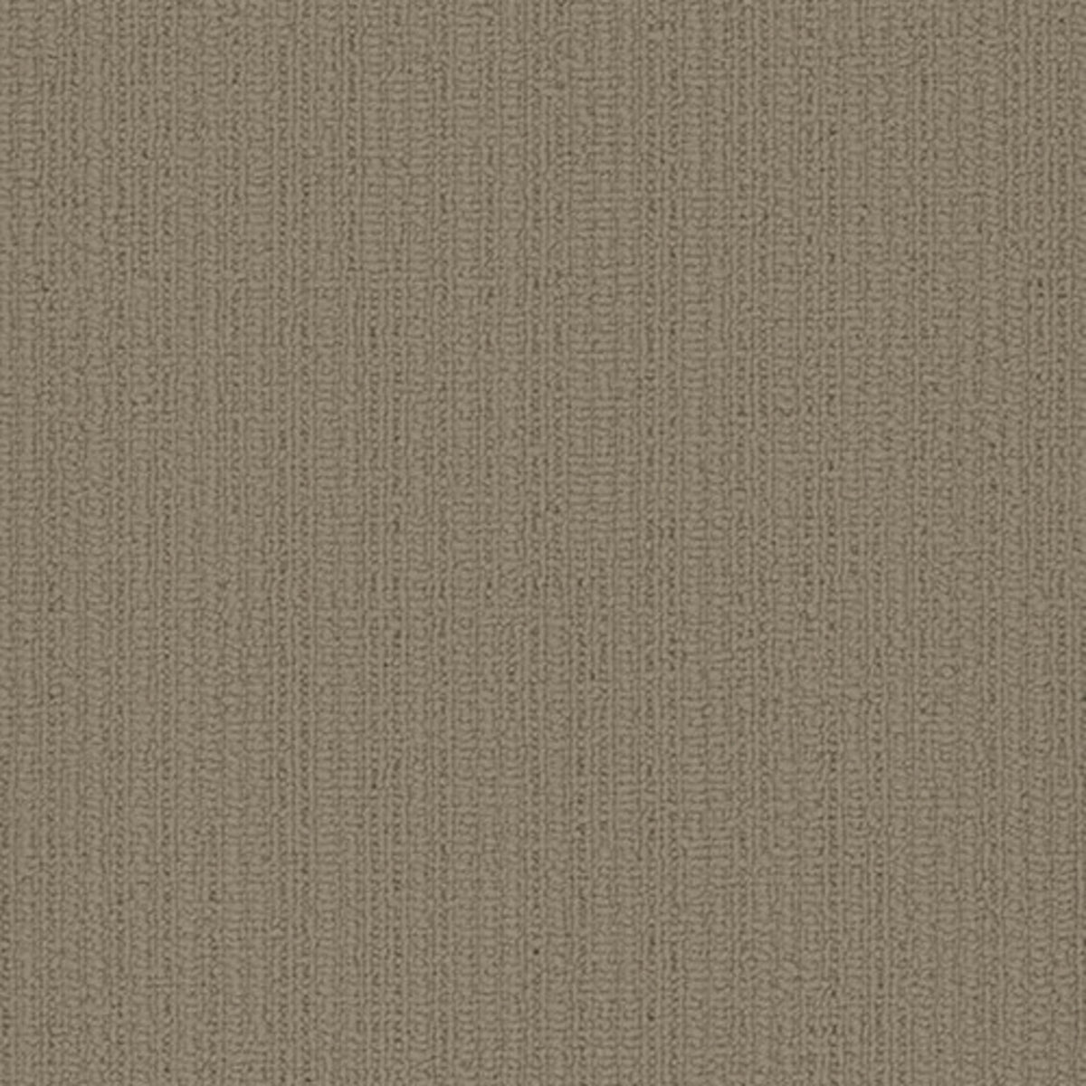 Colorpoint Plank