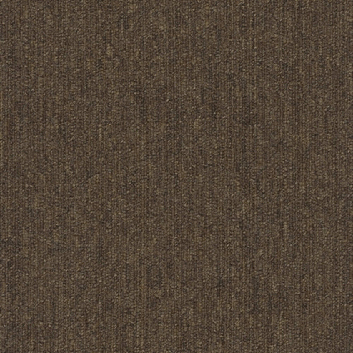 Colorpoint Plank