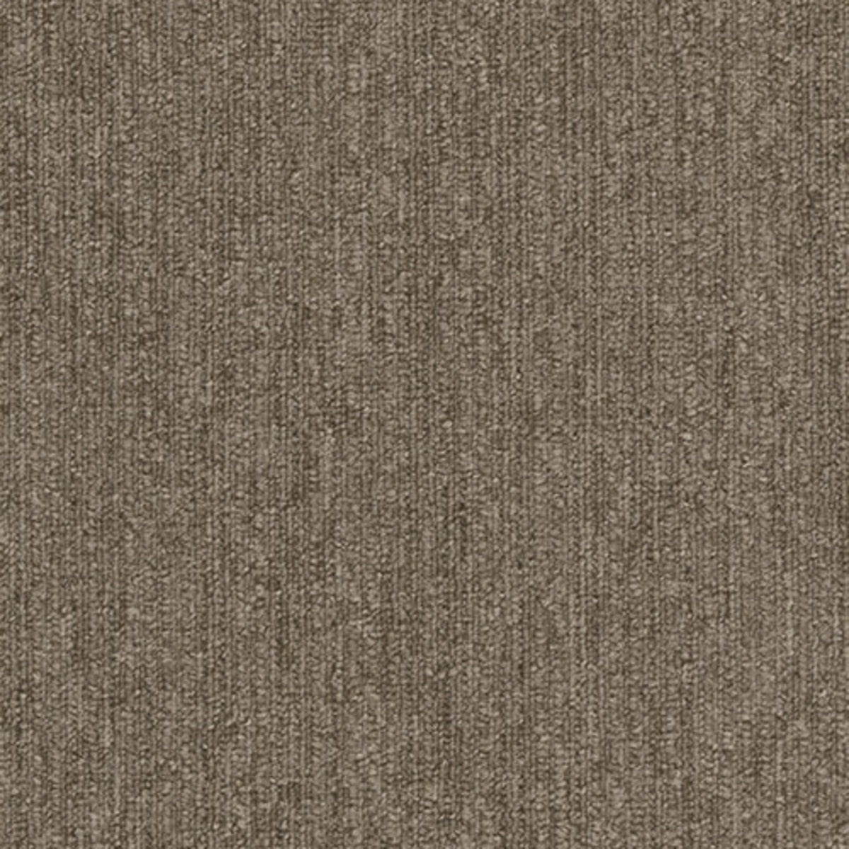 Colorpoint Plank