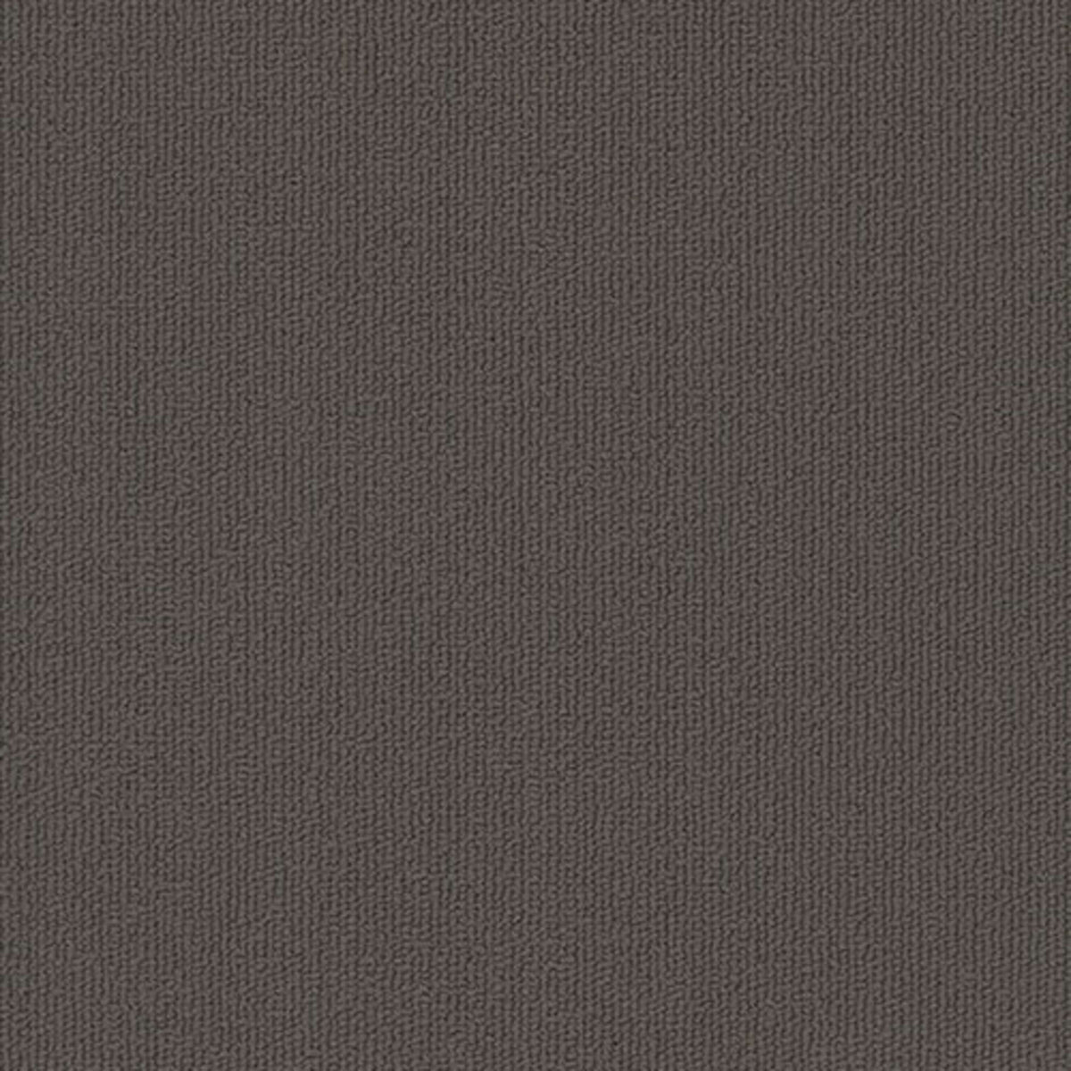 Colorburst Plank