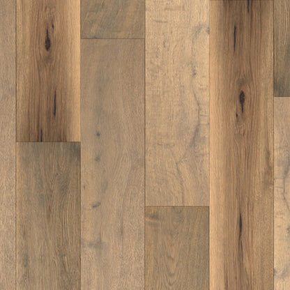 Chateau in Bravone Hardwood