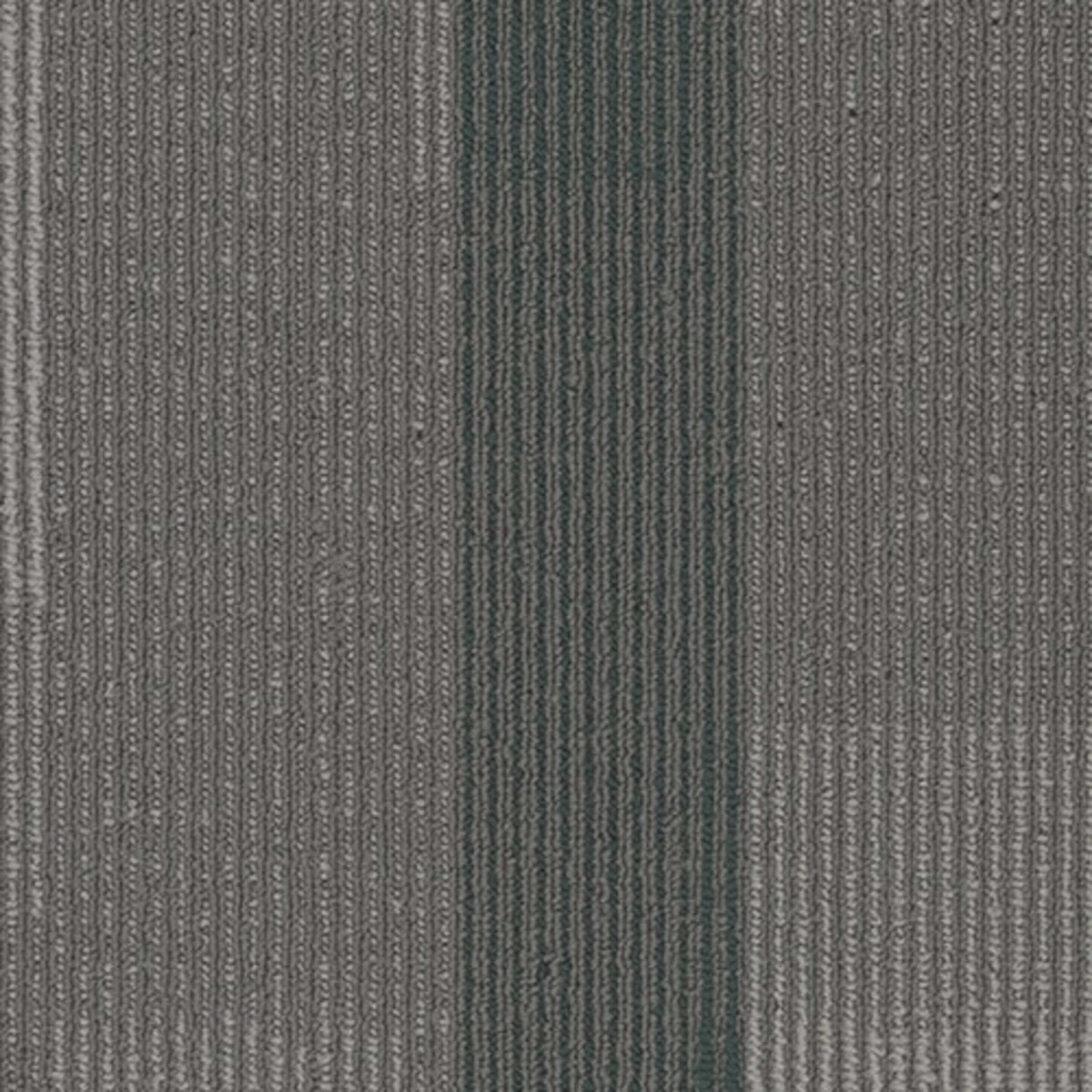 Amplify Plank