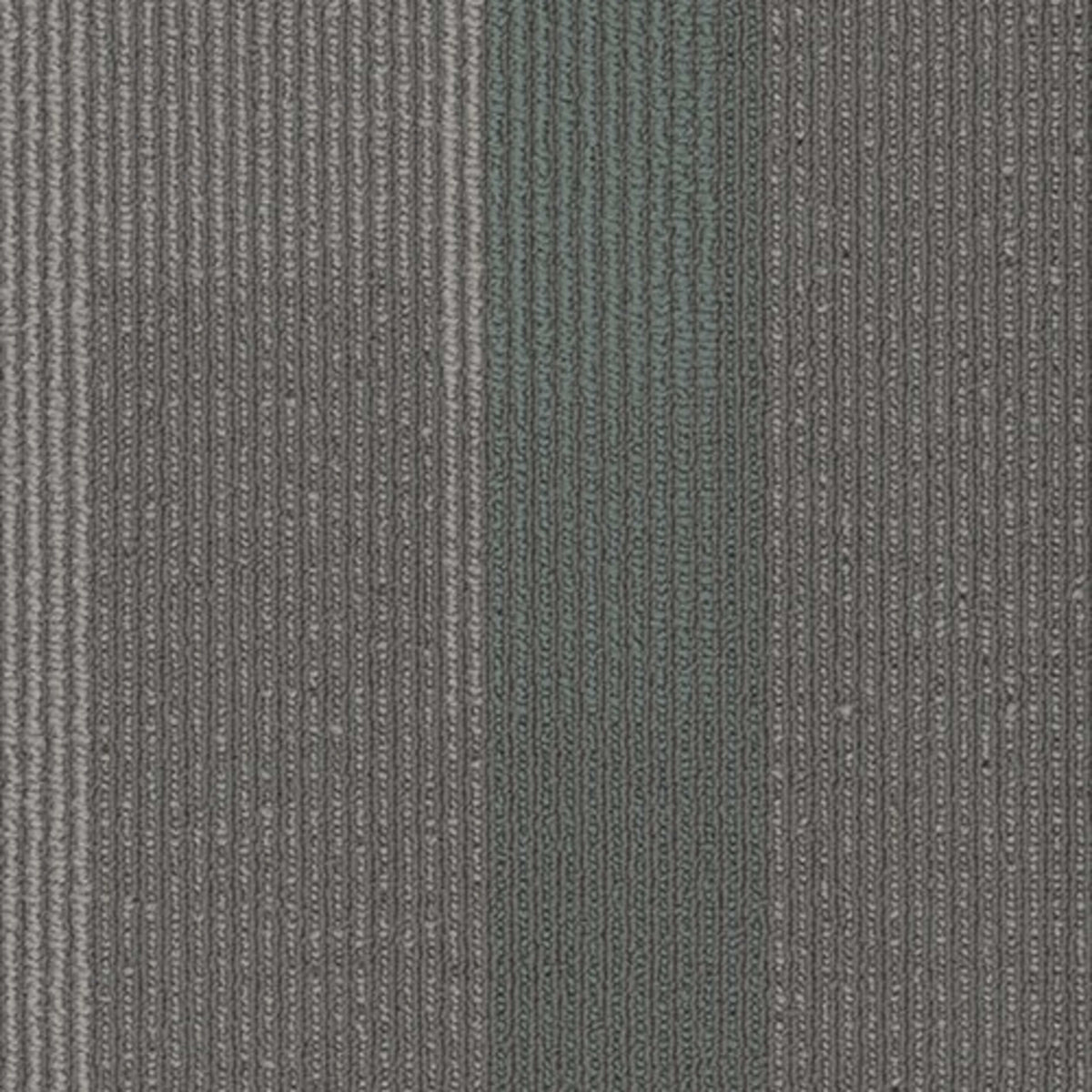 Amplify Plank