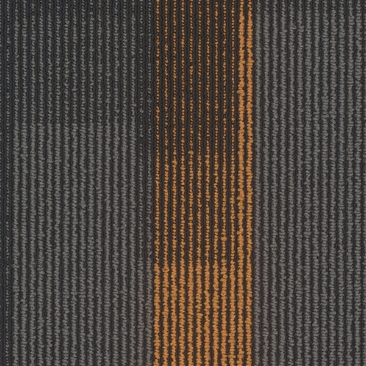 Magnify Plank