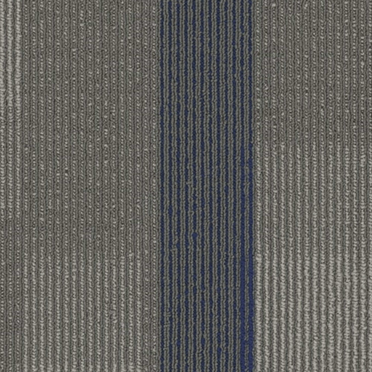 Amplify Plank