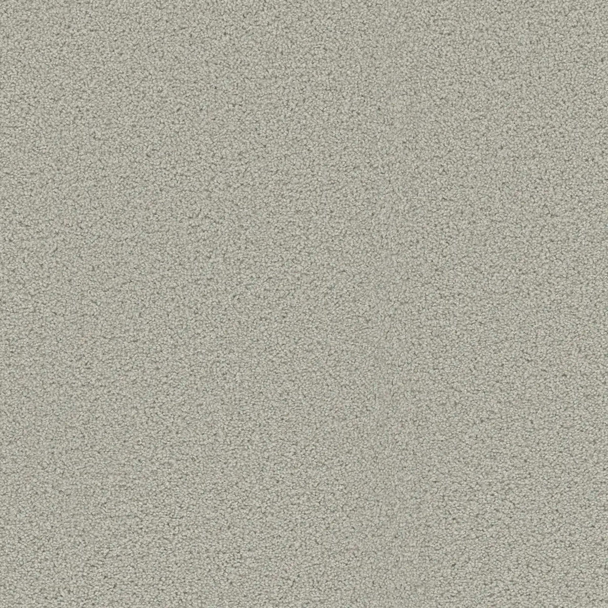 Beach Club III in Cloud Nine Carpet