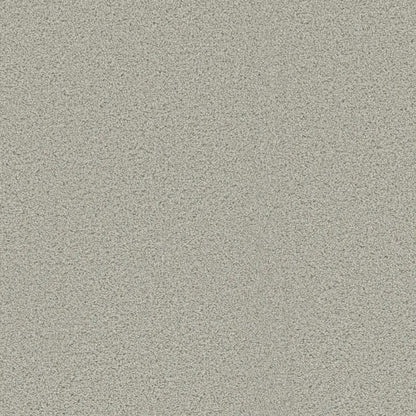 Beach Club III in Cloud Nine Carpet
