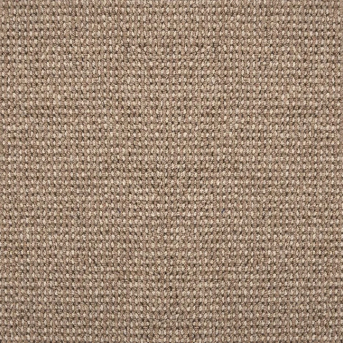 Rio Celeste in Cedar Carpet