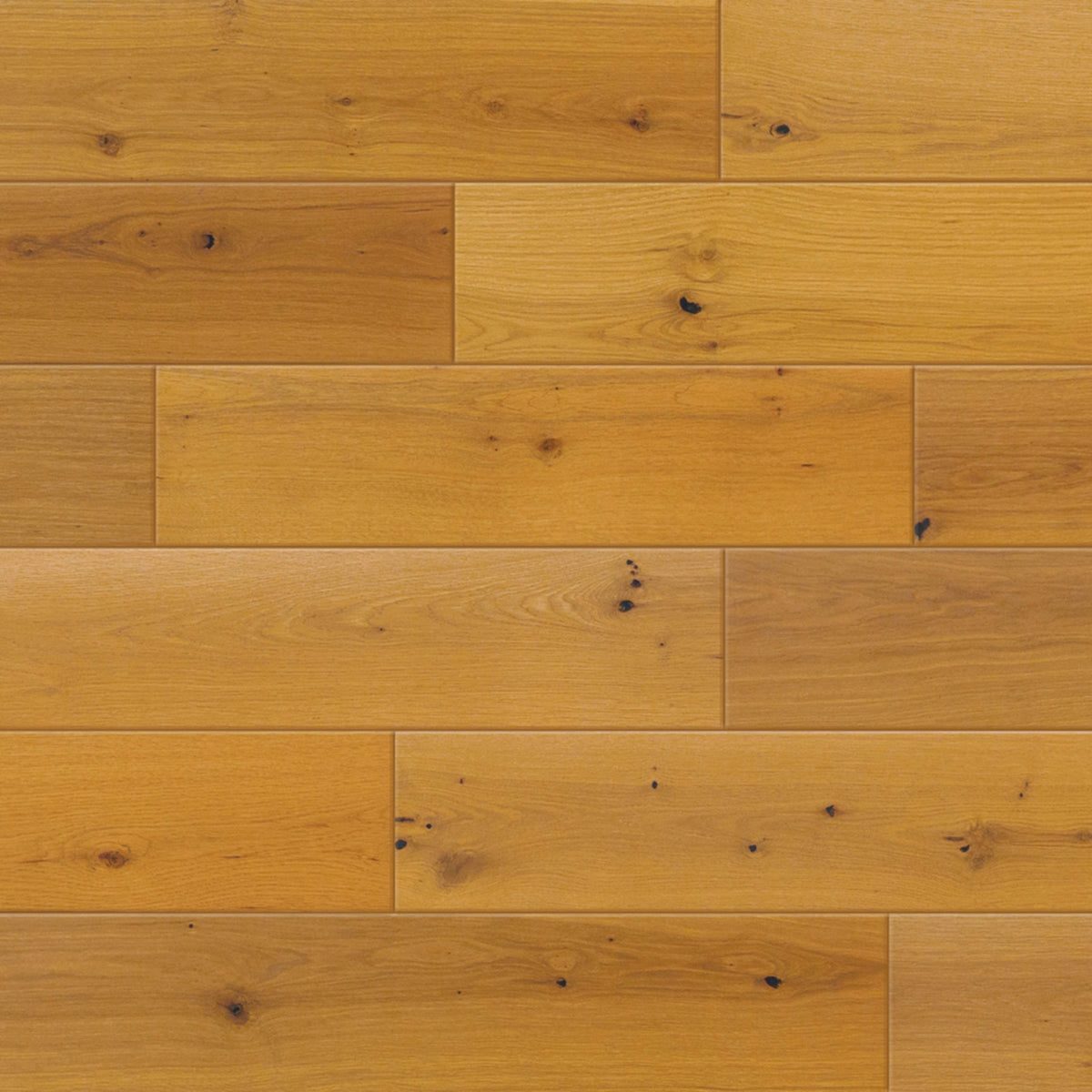 Oak Grove in Holm Hardwood