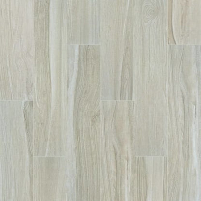 STUDIO 8X40