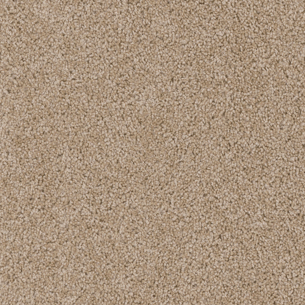 Cedar Creek in Camel Carpet