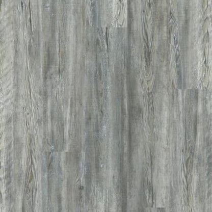 IMPACT PLUS