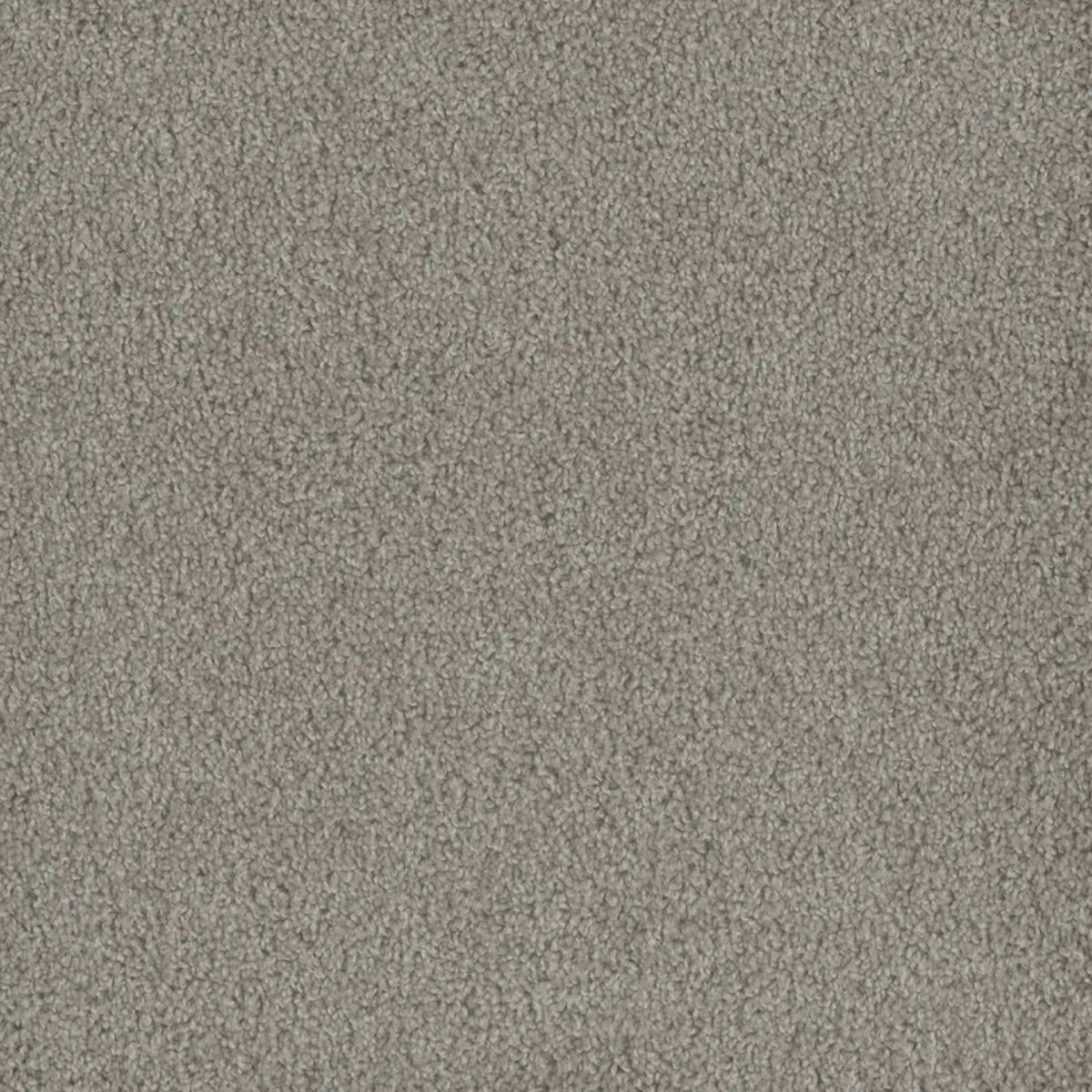 Hammond Creek I