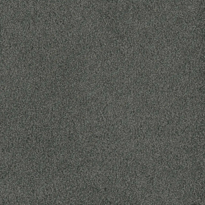 Hammond Creek I in Onyx Waves Carpet
