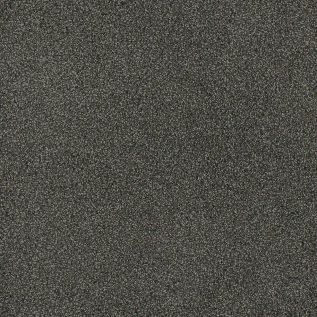 Hammond Creek II in Electron Carpet