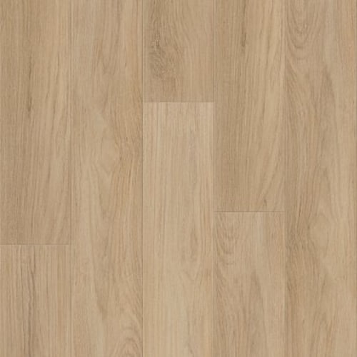 DISTINCTION PLUS