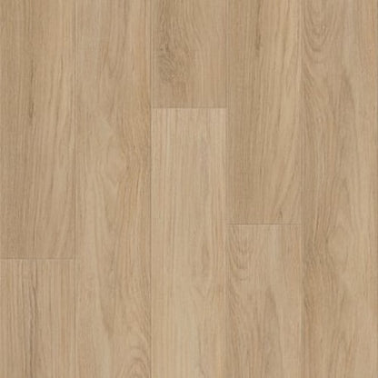 DISTINCTION PLUS