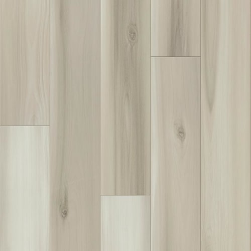 DISTINCTION PLUS
