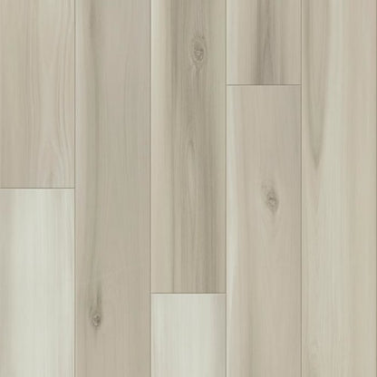 DISTINCTION PLUS