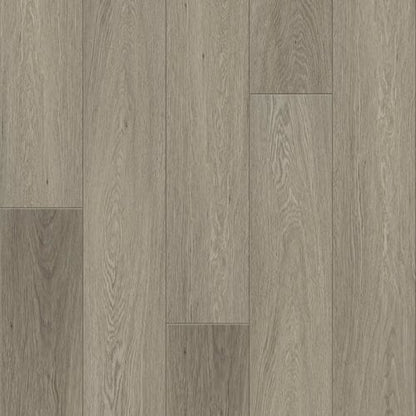 DISTINCTION PLUS