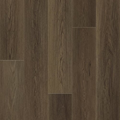 DISTINCTION PLUS