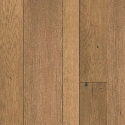Veracio in Tonale - 3.8125" Hardwood