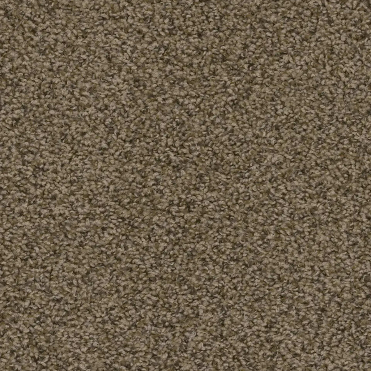 Sweepstakes in Agate Carpet