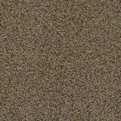 Sweepstakes in Agate Carpet