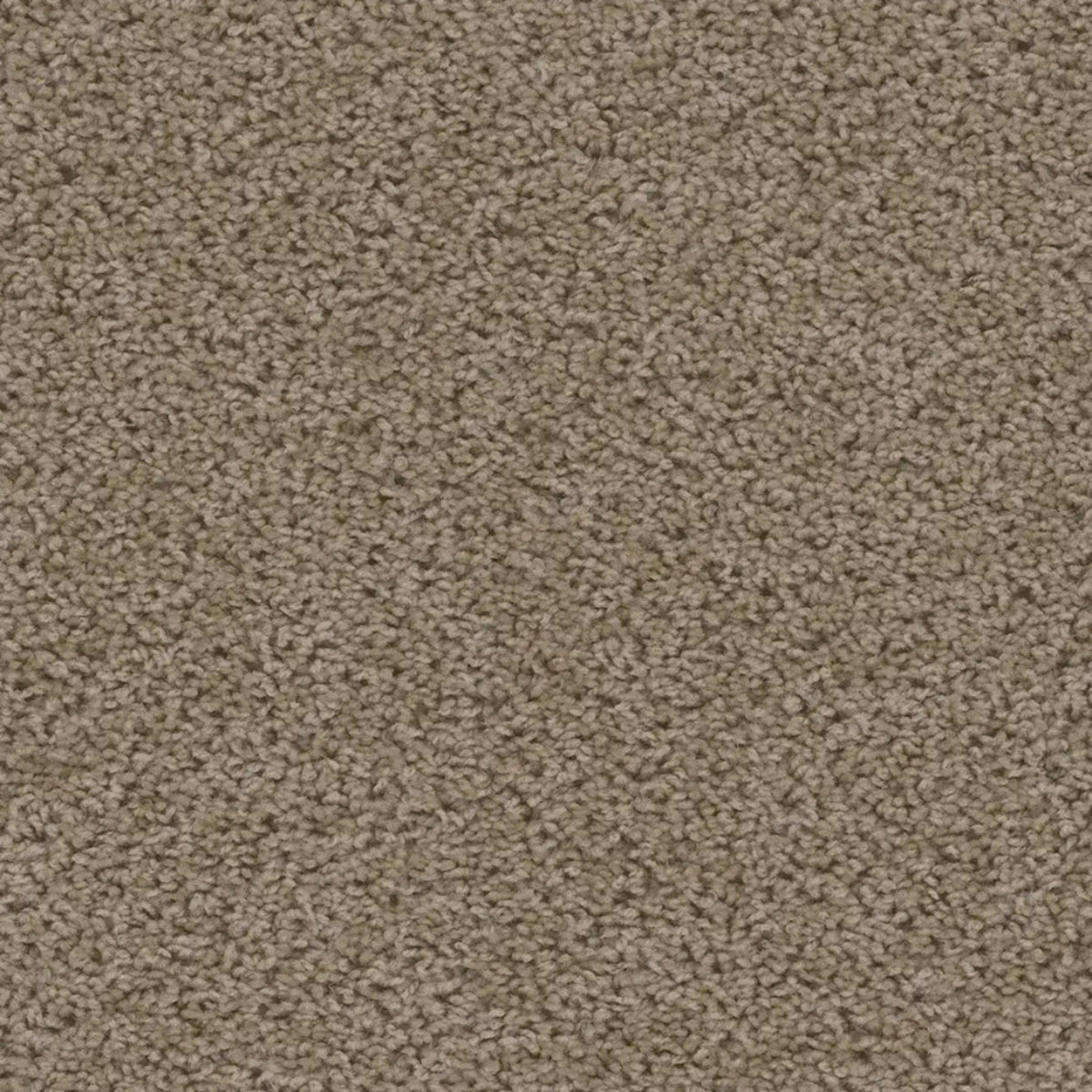 Sweepstakes