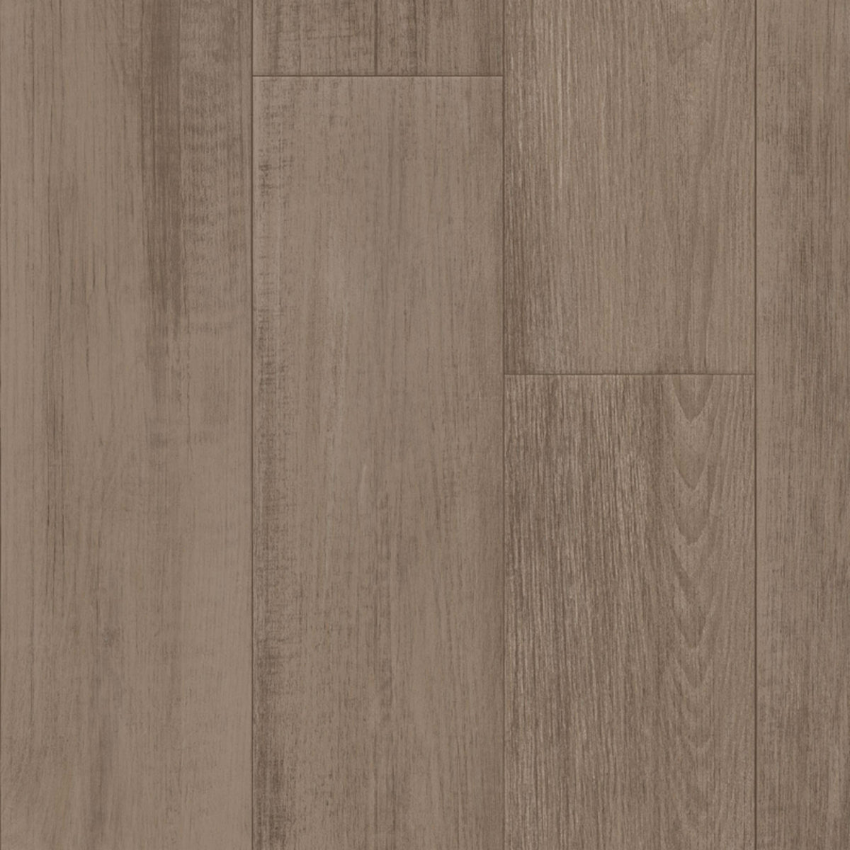 First Class in Falcon Vinyl Sheet Goods