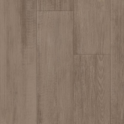First Class in Falcon Vinyl Sheet Goods