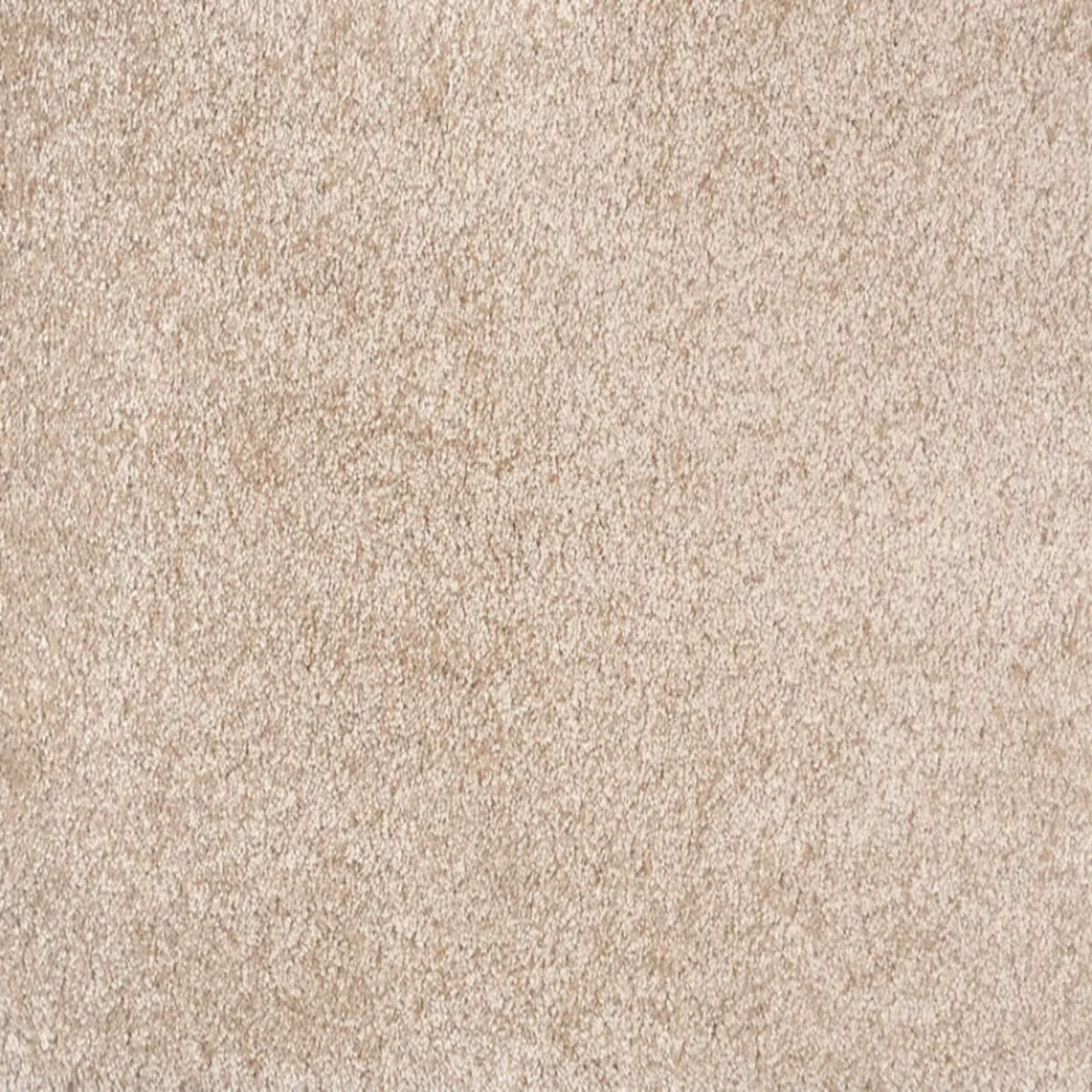 Noble in Latte Carpet