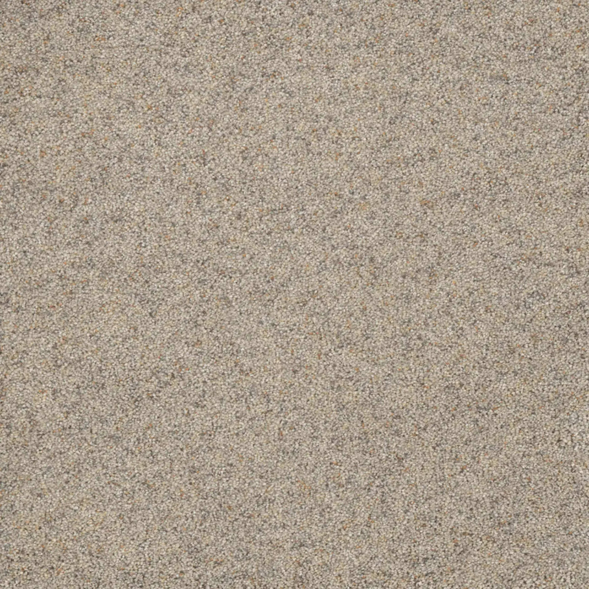 Astounding I in Fine Details Carpet