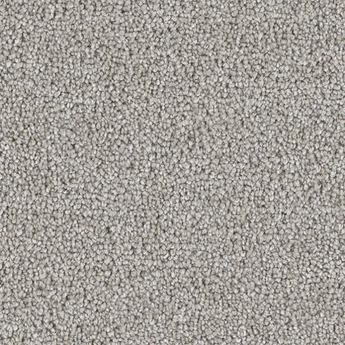Cape Cod in Chrome Carpet