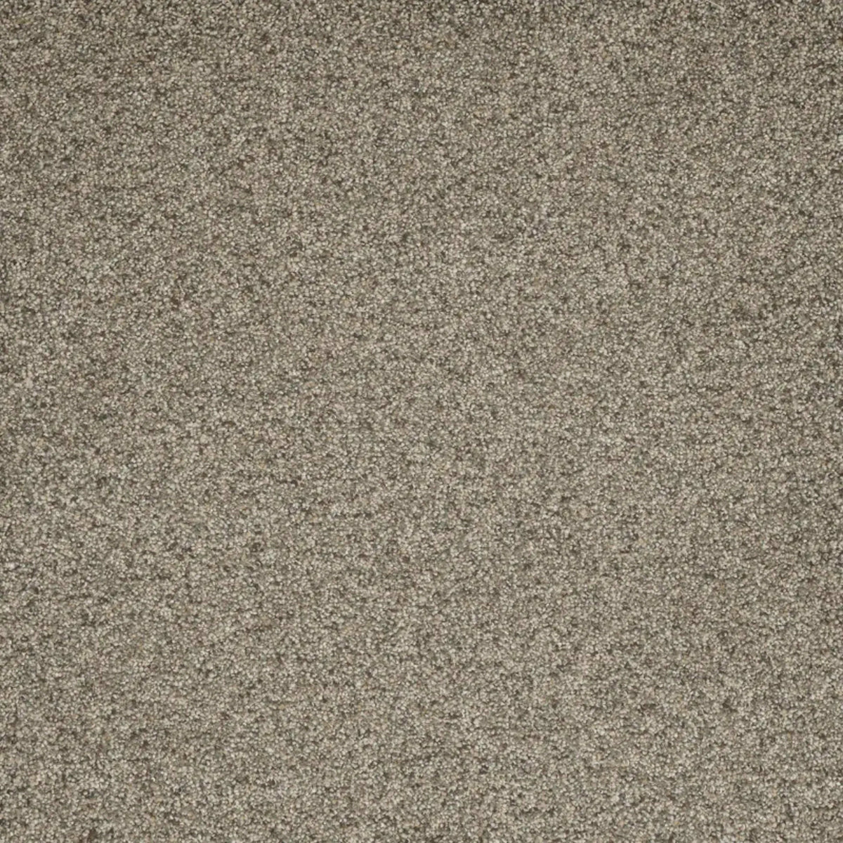 Astounding II in Wishing Well Carpet