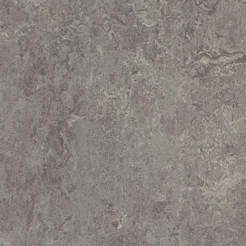 Marmoleum Real in Eiger Vinyl Sheet Goods