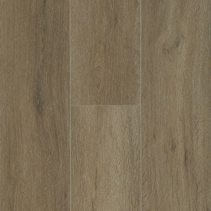 Ingenious Plank in Moonlit Cave 7.83" X 48"