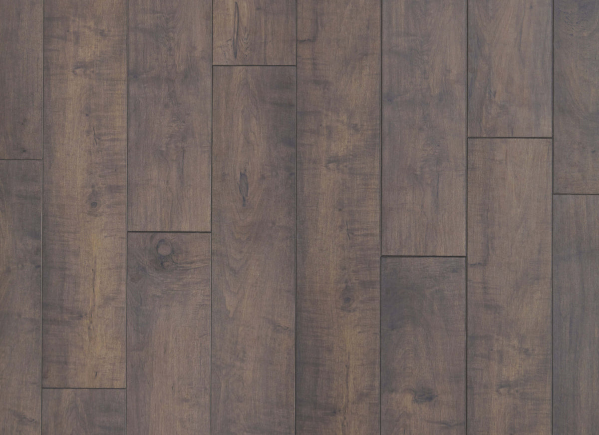 Restoration Collection - Woodland Maple in Branch