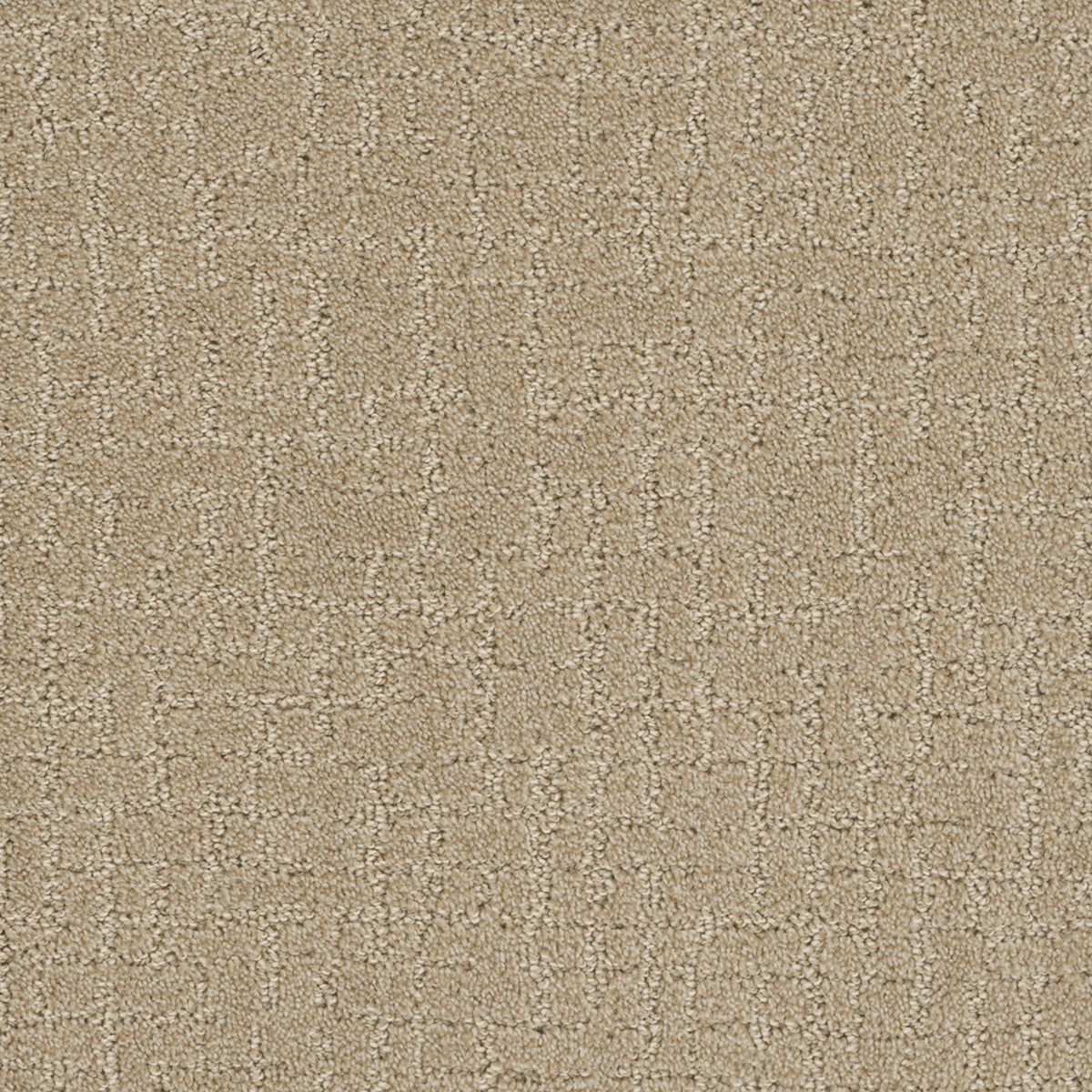 Modern Edge