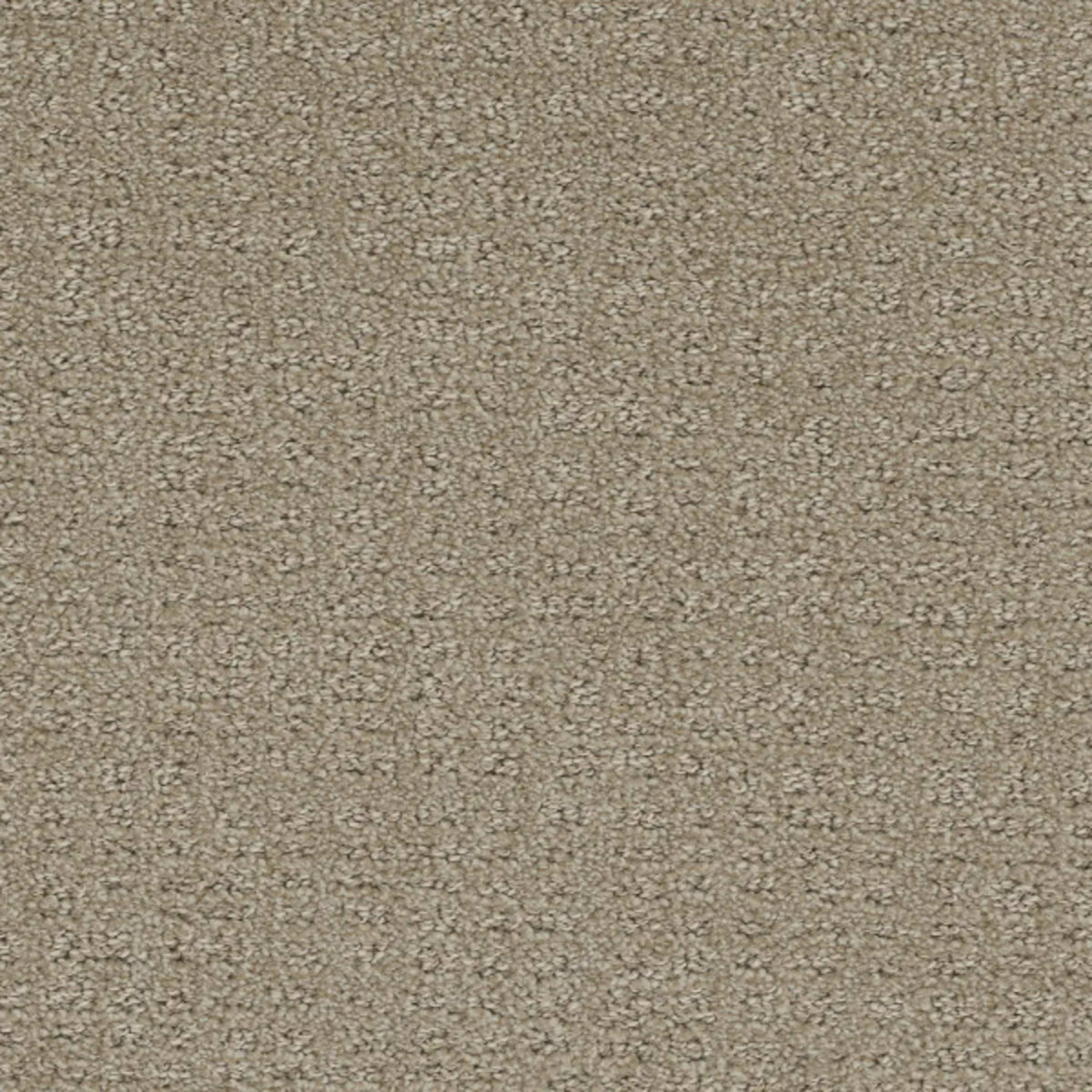 Common Ground in Fieldcrest Carpet