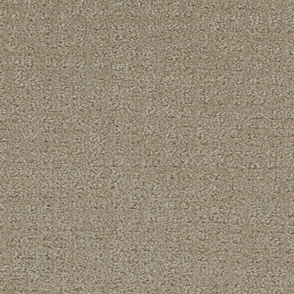 Common Ground in Fieldcrest Carpet