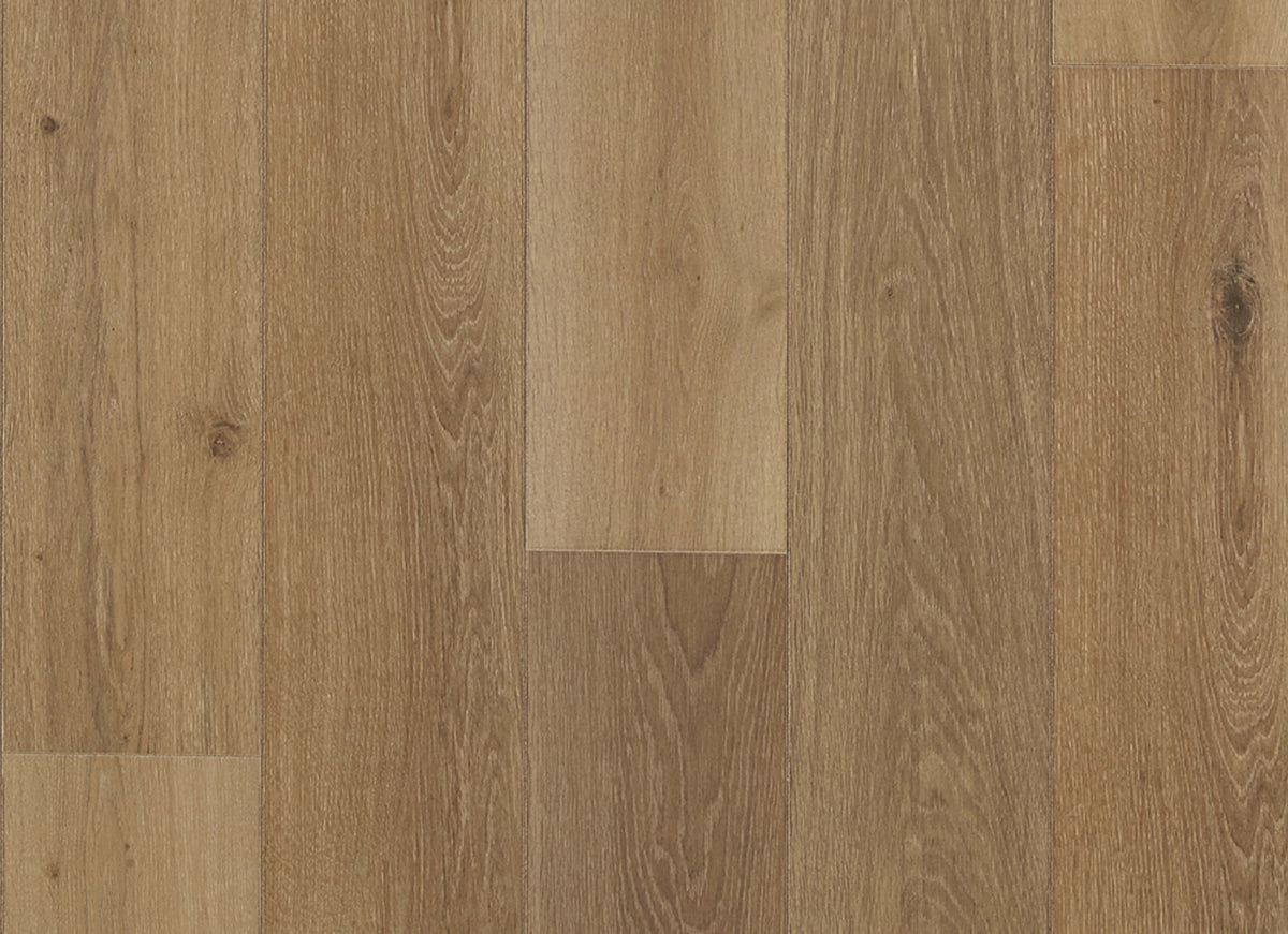 Restoration Collection - Haven in Honey