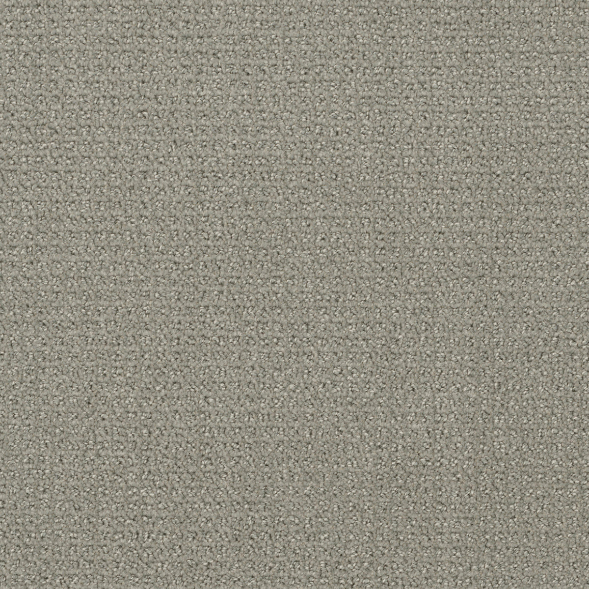 Pinpoint in Graystone Carpet