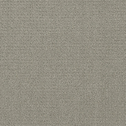 Pinpoint in Graystone Carpet