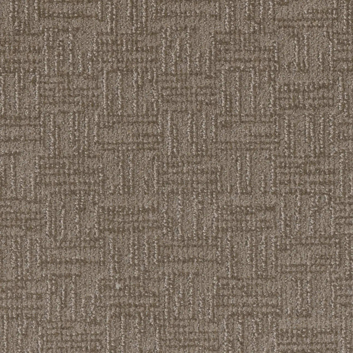 Classic Elements in Warm Autumn Carpet