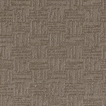 Classic Elements in Warm Autumn Carpet