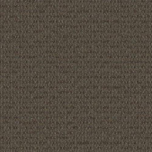 Construe in Describe Carpet
