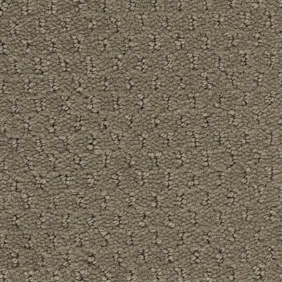 Classic Update in Mesa Taupe Carpet