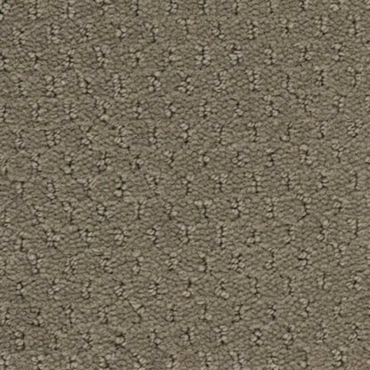 Classic Update in Mesa Taupe Carpet