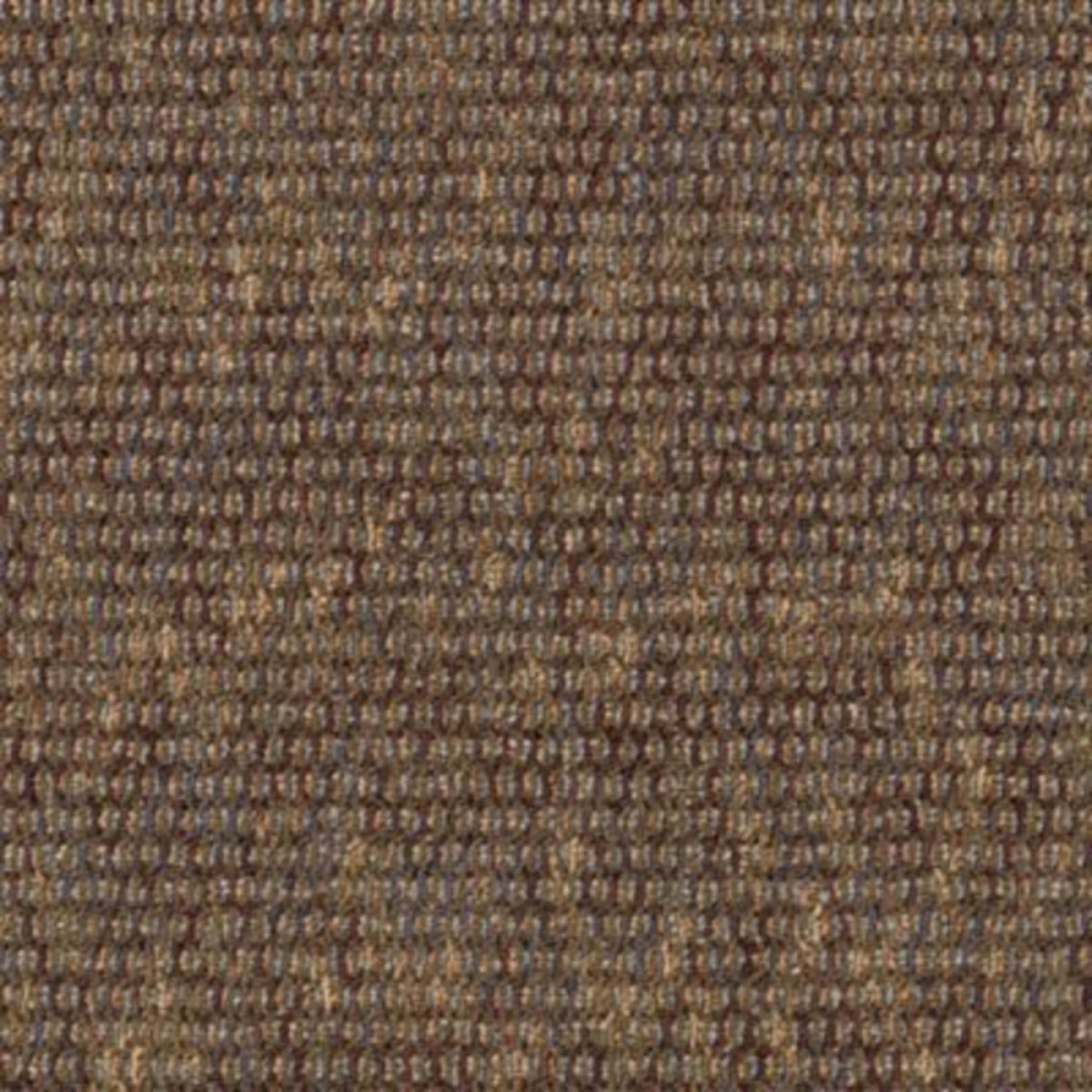 Astonishing View in Total Visual Carpet